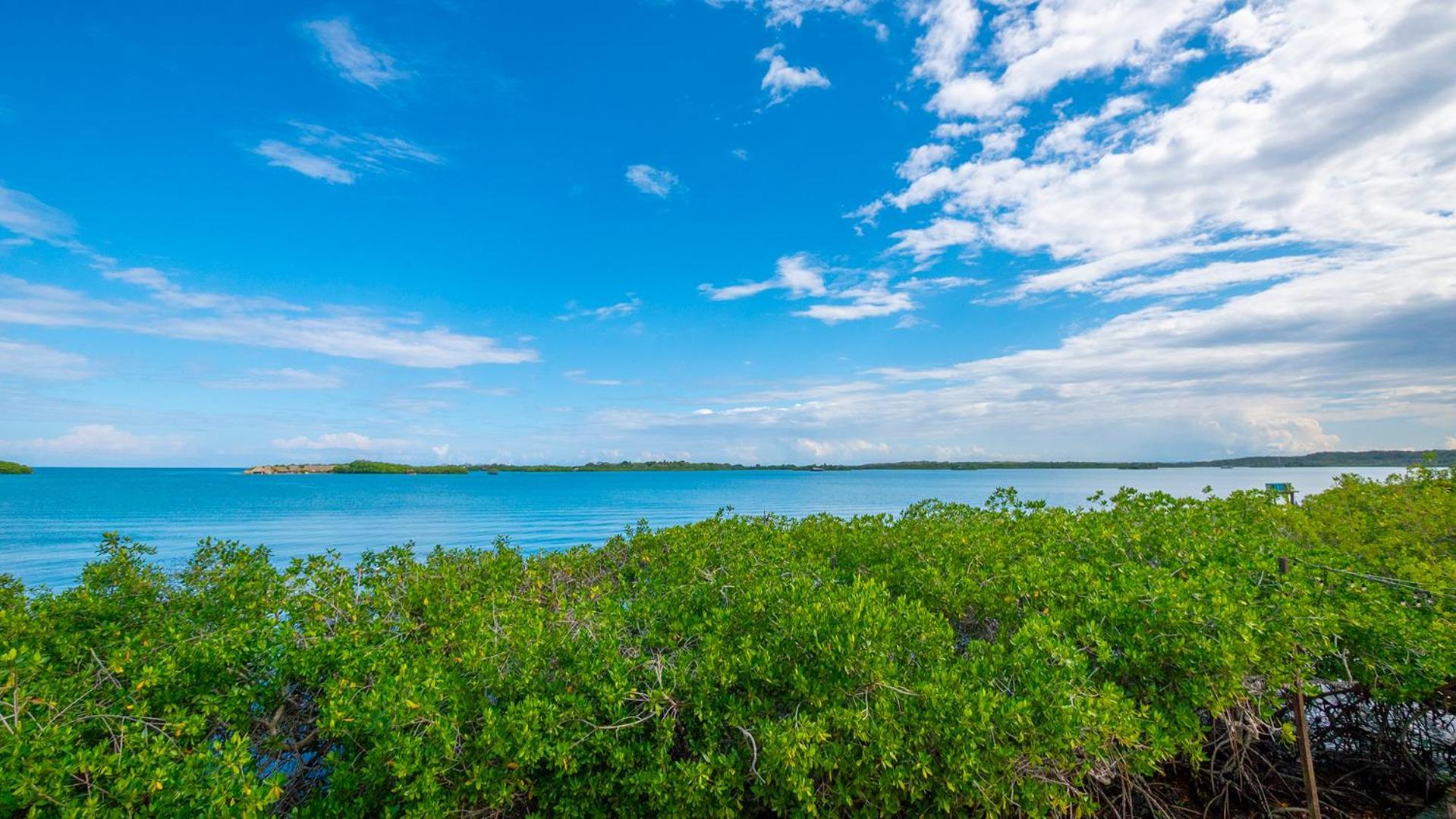 Aura Hotel Isla Barú المظهر الخارجي الصورة